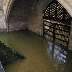 Tower of London  IMG_0591.JPG